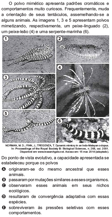 Imagem não cadastrada