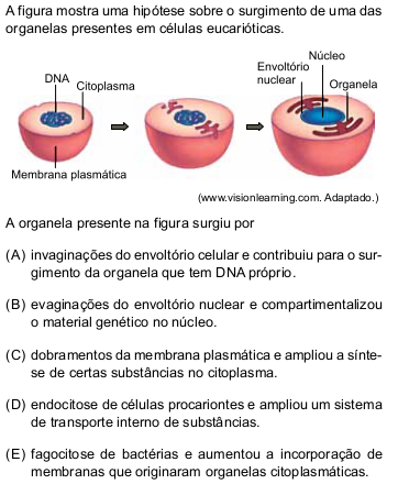 Imagem n&atilde;o cadastrada
