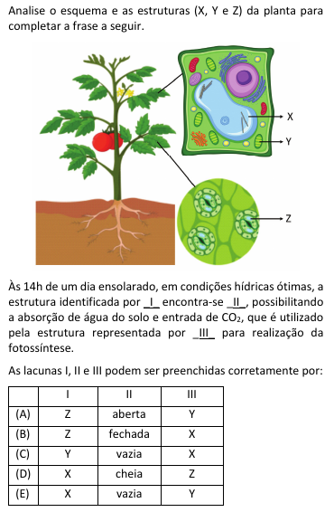 Imagem n&atilde;o cadastrada