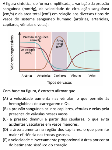 Imagem n&atilde;o cadastrada