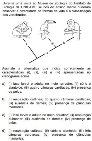 Imagem não cadastrada